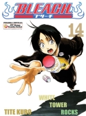 Bleach Nr 14