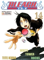 Bleach Tom 14