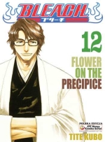 Bleach Tom 12