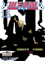 Bleach Nr 15