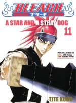 Bleach Tom 11